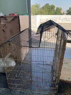 birds cages for sale