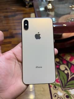 xs max 256gn