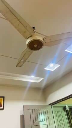 Fans Ceiling