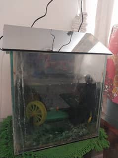 Fish aquarium with fish