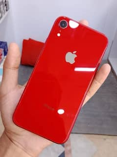 iphone xr non pta 64gb 10/9 only battery change