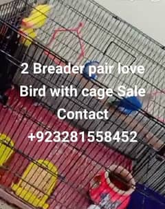 2 pair with egg and cage