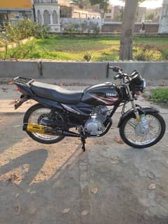 Yamaha ybz 125 2018 model Japanese 2019 registered