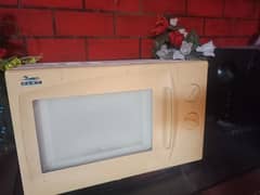 Fast Microwave oven