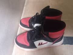 Jordan Shoes Just like New!