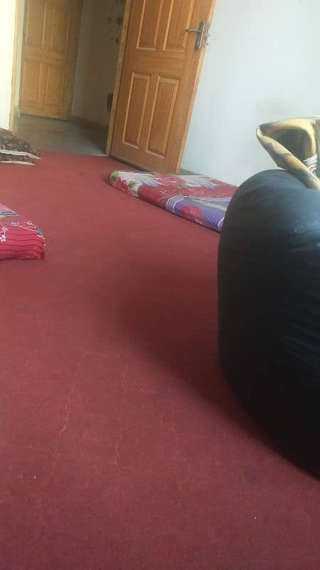 full room large room carpet in red colour 0