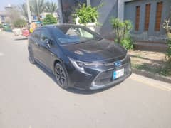 Toyota Corolla Cross 2019