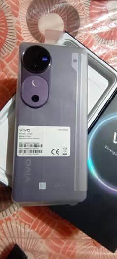 vivo