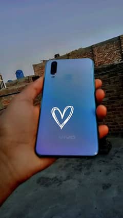 vivo