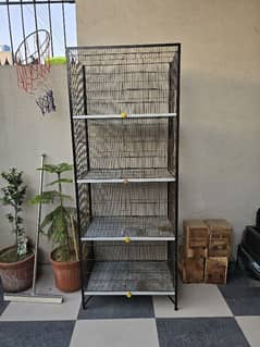 love Birds Cage