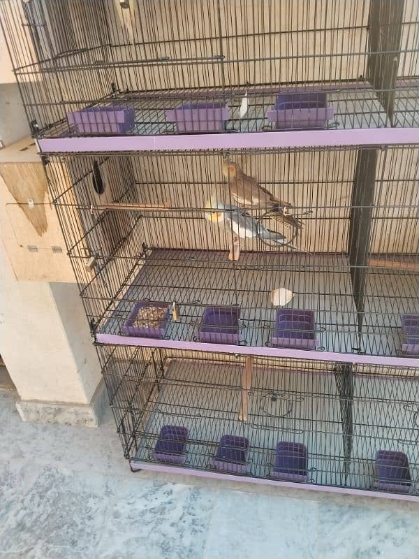 Cage like new 3