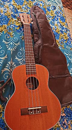 New Concert size ukulele with bag and strings