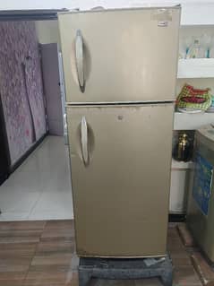 Haier refrigerator fridge Golden Color