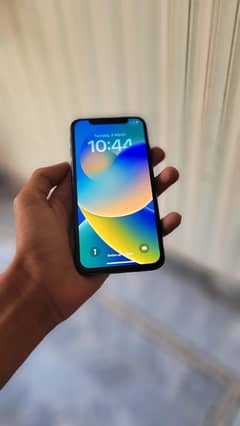 The iPhone XS