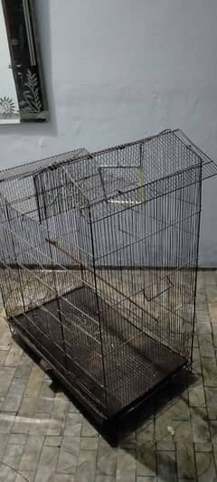 birds iron cage