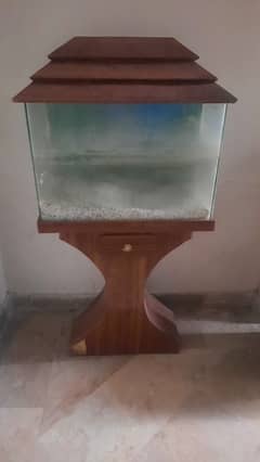 medium-sized aquarium