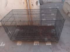 Cage For Sale