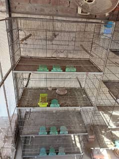 iron cages for sale