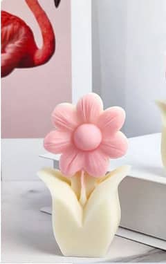 Tulip