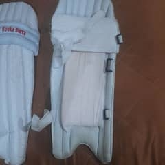 kookaburra original cricket pads with cricket gloves