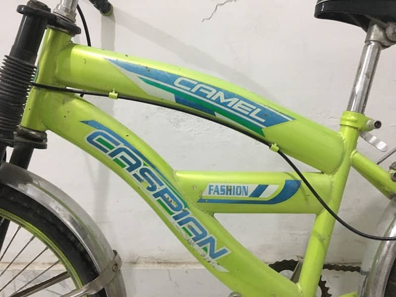 Caspian Camel Bicycle for Sale 1
