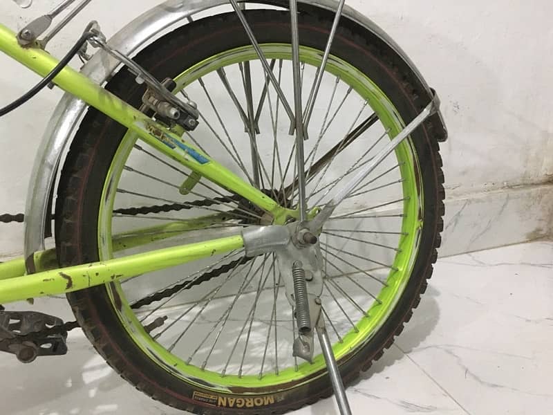 Caspian Camel Bicycle for Sale 2