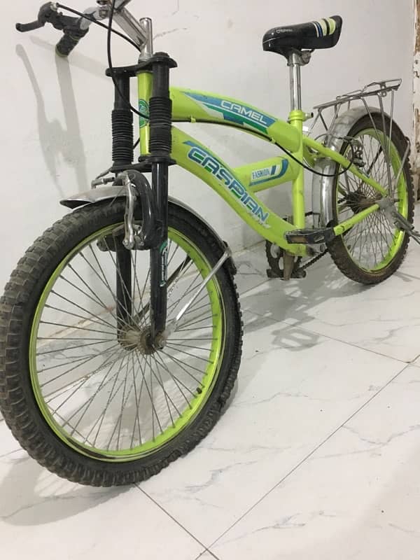 Caspian Camel Bicycle for Sale 3