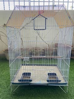 Birds Cage