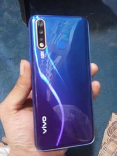 vivo