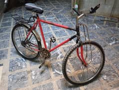 cycle for sale