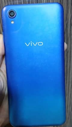 Vivo