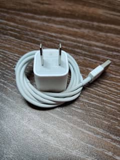 Apple iPhone Charger