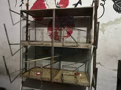 Birds Cage