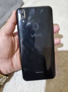 vivo