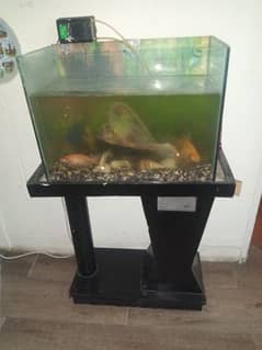 aquarium fish tank and table