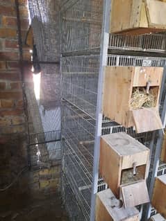 New Cage for sale only 2 months use.