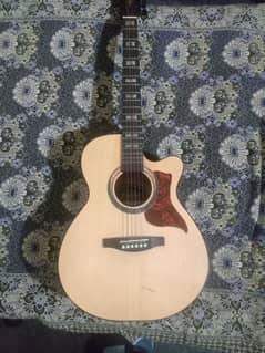 acoustic guitar