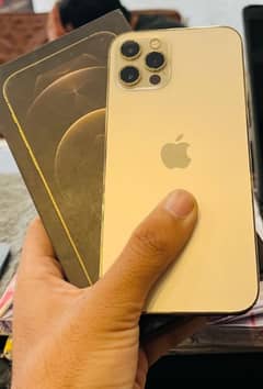 Iphone 12 Pro Waterpack PTA APPROVED