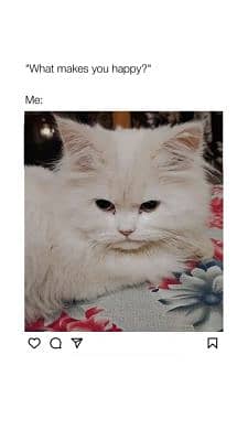 H_Mughal