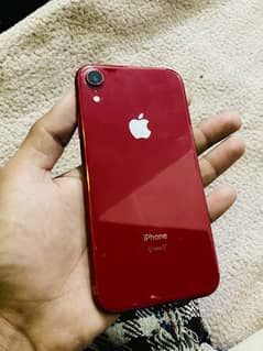 iphone xr non pta