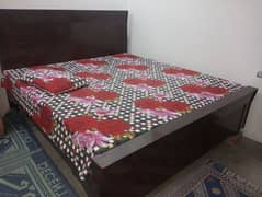 New bed