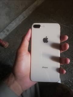 8plus 256 golden colour