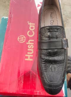 Hush Cat  Black Shoes Size - 7