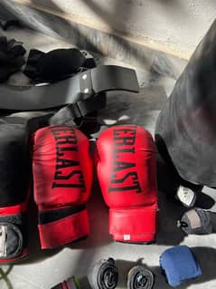 Everlast boxing gloves