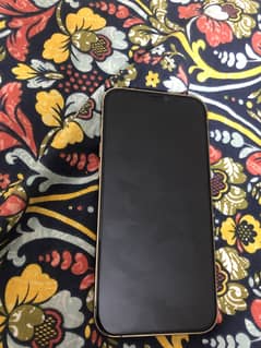 Apple iPhone 12 Pro Max 256 pta approved