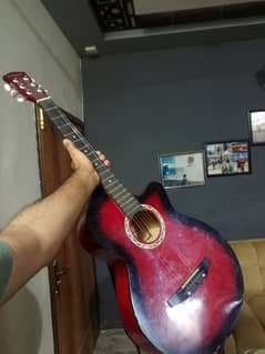 Beginner's Guitar