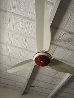 ceiling fan