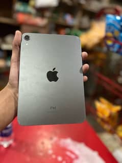 Ipad mini 6