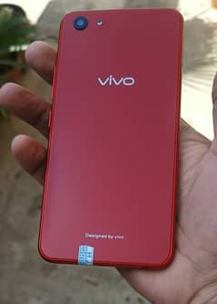 Vivo