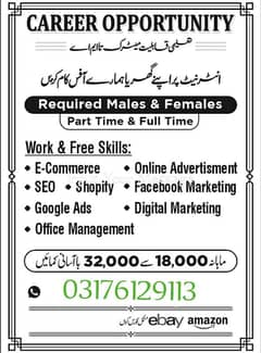 we need male and female staff for office work